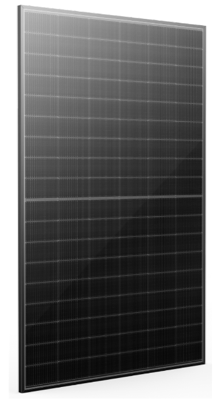 Risen RSM 435W