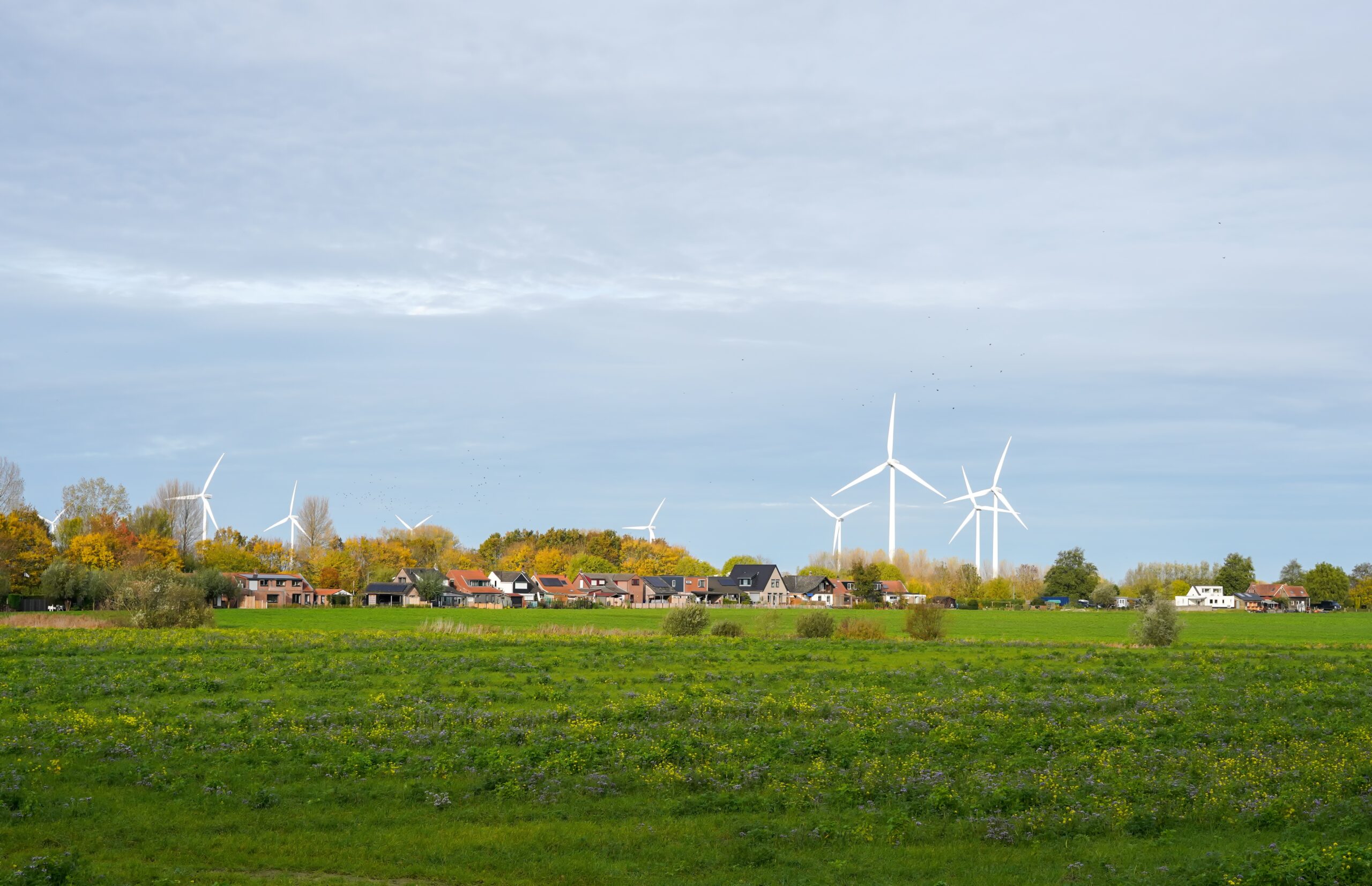Energiecoöperatie windpark: geen enkel project gebouwd in 2025