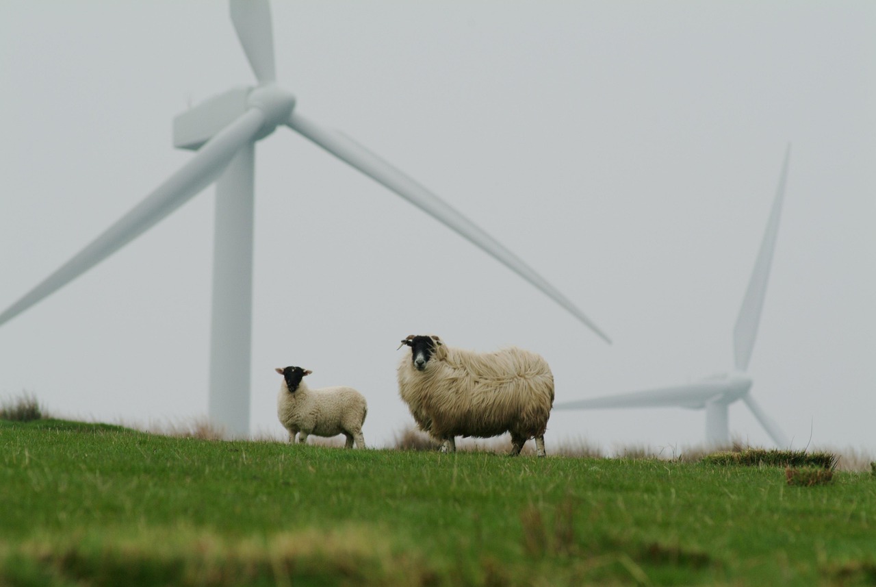Groene energie opwekking met windmolens en zonnepanelen
