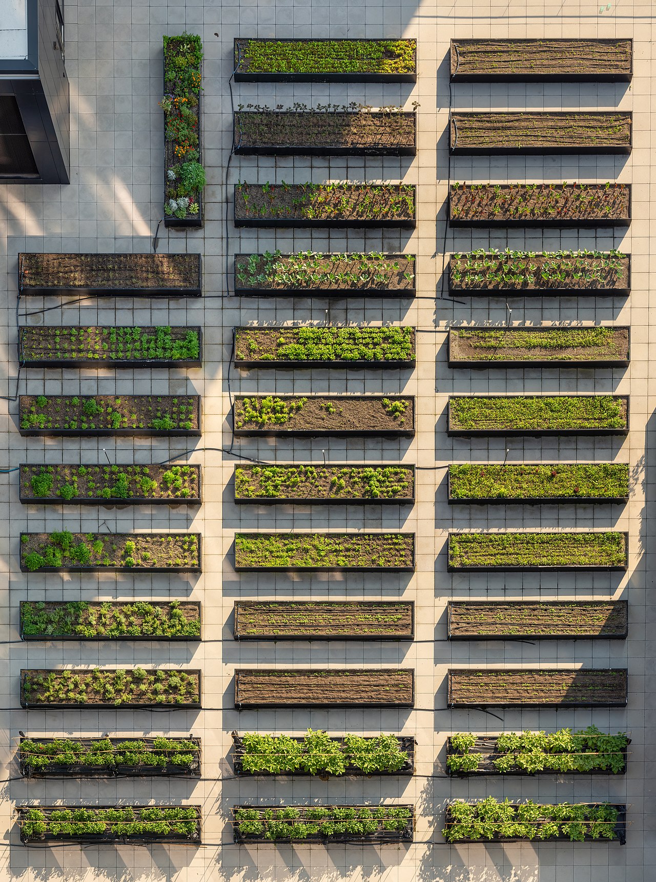 Zonnepanelen op daken als oorzaak van negatieve stroomprijzen op de energiemarkt
