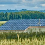 Zonnepanelen en sneeuw: waarom je ze beter niet zelf schoonveegt