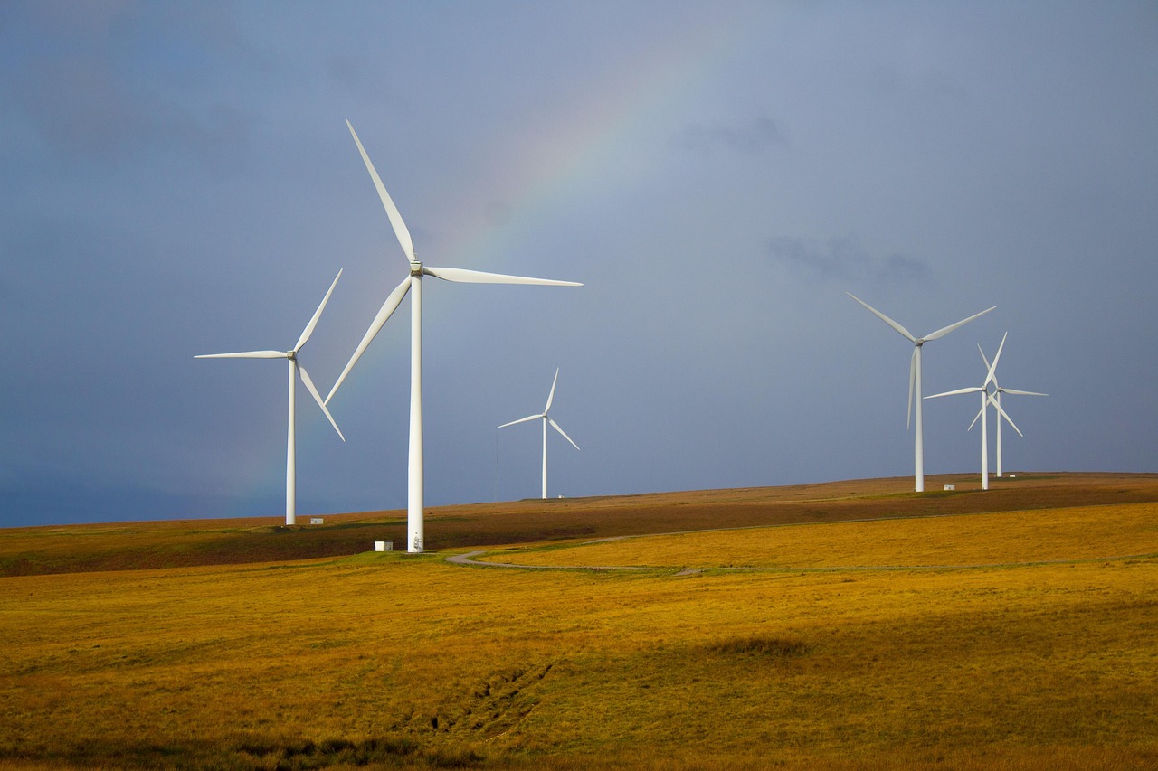 CO2-uitstoot Nederland daalt door schonere stroomsector met meer windenergie