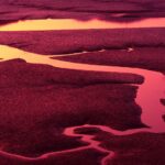 Lage waterstand in een rivier door droogte, waardoor de elektriciteitsprijs in Nederland oploopt