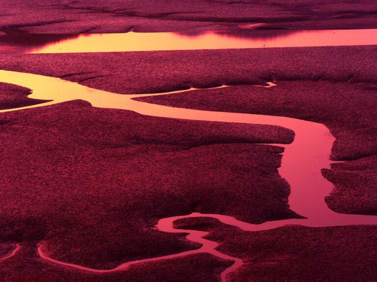 Lage waterstand in een rivier door droogte, waardoor de elektriciteitsprijs in Nederland oploopt