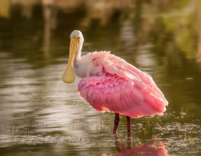 Energieprijzen in juli 2026 bijna 10 procent hoger dan vorig jaar